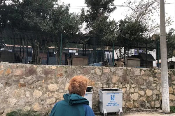 Turgutreis Geçici Bakımevi - Resim 18