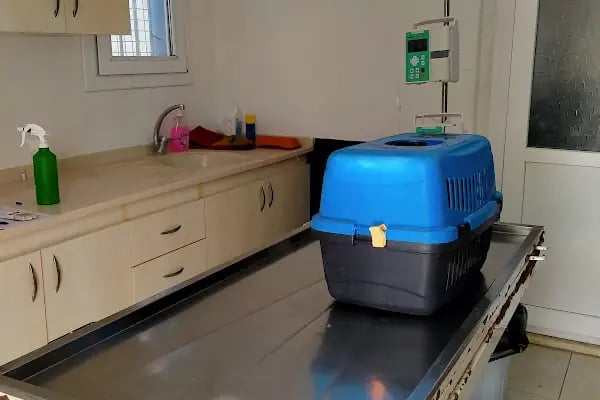 Turgutreis Geçici Bakımevi - Resim 19