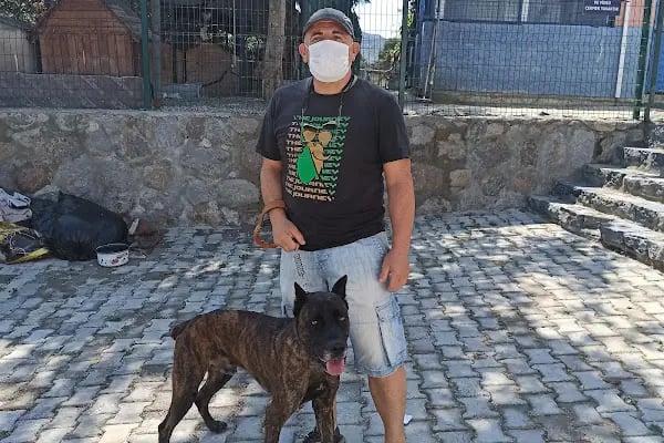 Turgutreis Geçici Bakımevi - Resim 1