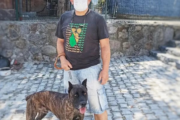Turgutreis Geçici Bakımevi - Resim 15