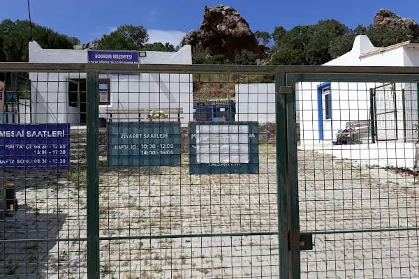Turgutreis Geçici Bakımevi - Resim 5