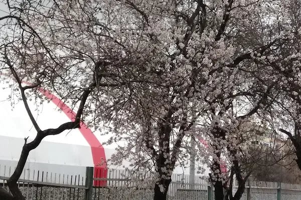 Zümrüt Belde Sitesi - Resim 5