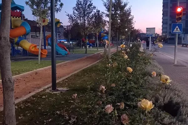 Meşe Parkı - Resim 19