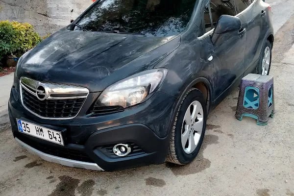 BÖCEK OTO YİKAMA - Resim 7