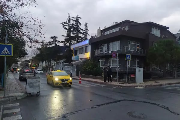 Ukrayna İstanbul Başkonsolosluğu - Resim 11
