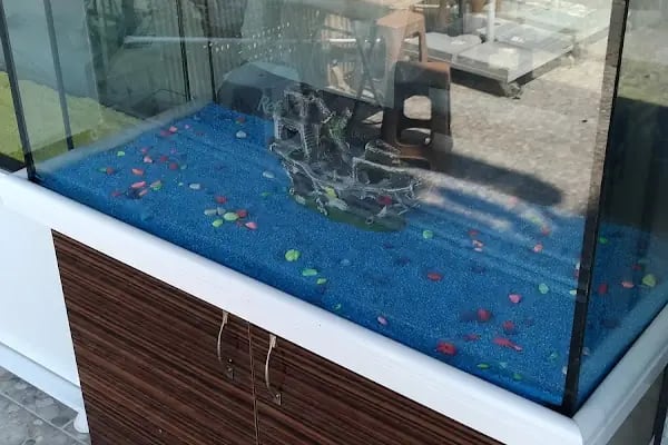 İlayda Petshop - Resim 9