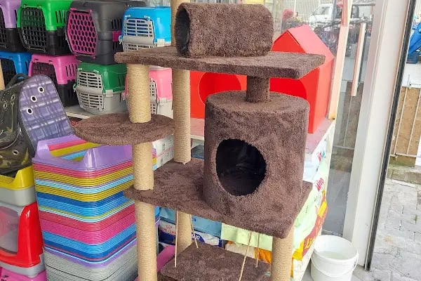 İlayda Petshop - Resim 8