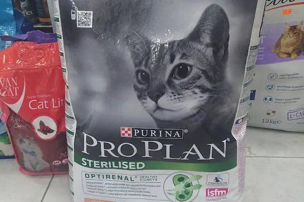 İlayda Petshop - Resim 20
