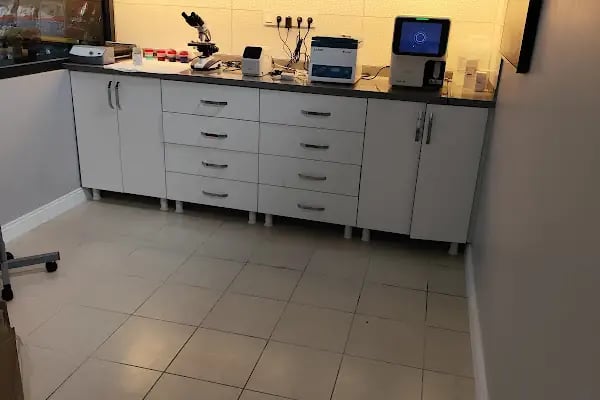 GEMVET VETERİNER - Resim 7