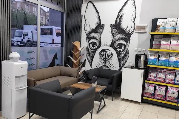 GEMVET VETERİNER - Resim 9
