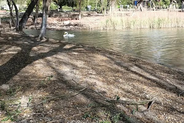 Gölbaşı Gölleri Tabiat Parkı - Resim 14