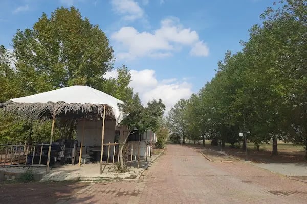 Gölbaşı Gölleri Tabiat Parkı - Resim 19