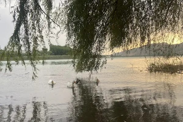 Gölbaşı Gölleri Tabiat Parkı - Resim 13
