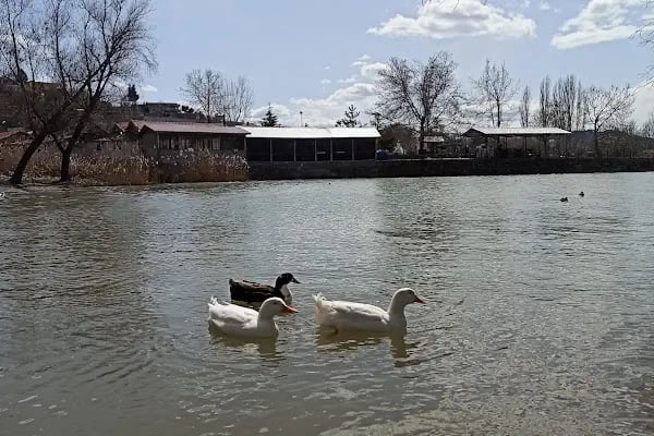 Gölbaşı Gölleri Tabiat Parkı - Resim 20