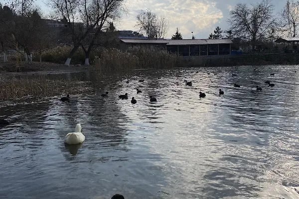 Gölbaşı Gölleri Tabiat Parkı - Resim 16