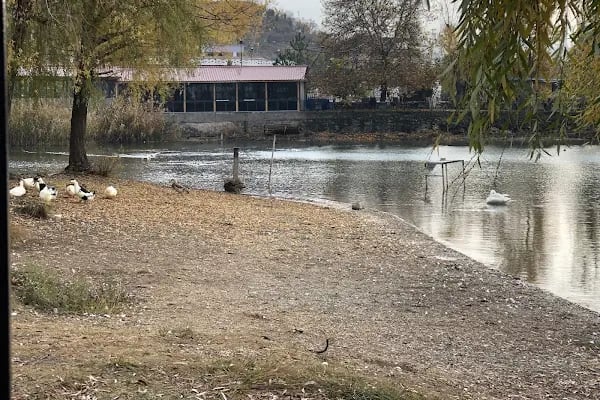 Gölbaşı Gölleri Tabiat Parkı - Resim 9