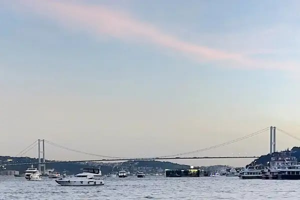 Arnavutköy İskele Balık - Resim 4