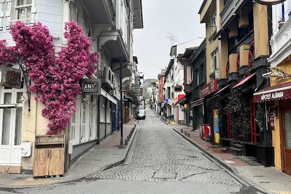 Arnavutköy İskele Balık - Resim 18