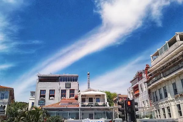 Arnavutköy İskele Balık - Resim 7