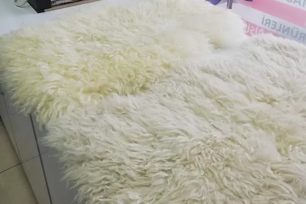 Aydın kuru temizleme terzi koltuk yıkama halı yıkama - Resim 19