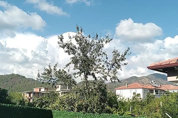 Orhan Apart Ortaca - Resim 15