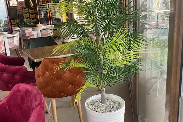 Zirve Cafe - Resim 19