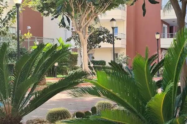 Alanya Properties - Resim 6