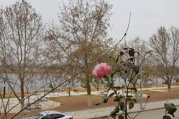 Eli Büyük Sadin Usta Et&amp;Kebap Dünyası - Resim 19