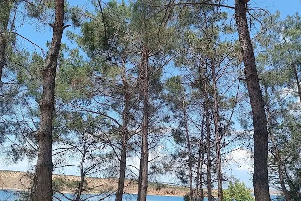 Reis'in Yeri Yüzme Havuzu &amp; Piknik Alanı - Resim 2