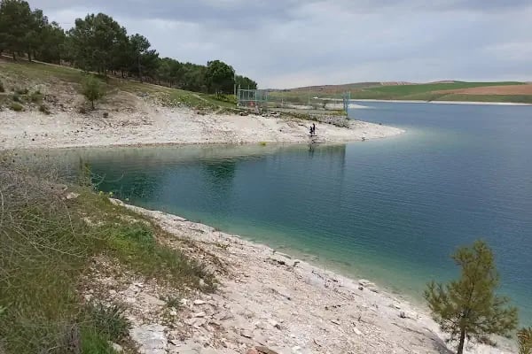Reis'in Yeri Yüzme Havuzu &amp; Piknik Alanı - Resim 17