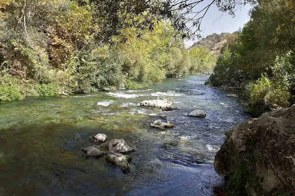Şelale Alabalık Restoran - Resim 9