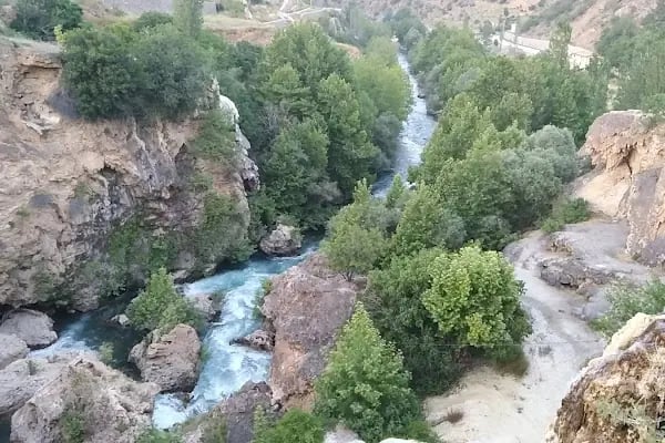 Şelale Alabalık Restoran - Resim 17