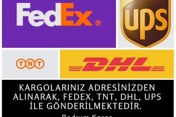 Bodrum Cargo Yurt Dışı Taşımacılık - Resim 7