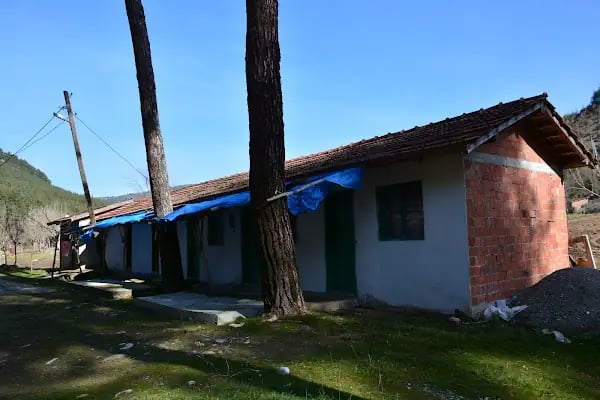Düğüncüler Hamamı - Resim 5