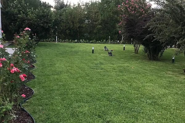 AKSULİVE PEYZAJ - Resim 20