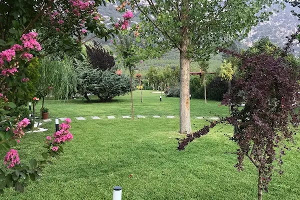 AKSULİVE PEYZAJ - Resim 1