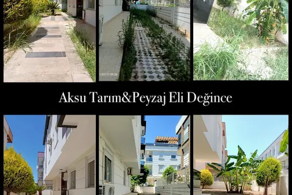 AKSULİVE PEYZAJ - Resim 8