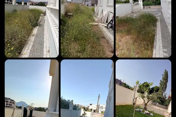 AKSULİVE PEYZAJ - Resim 18