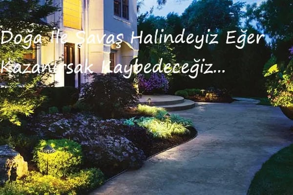 AKSULİVE PEYZAJ - Resim 6