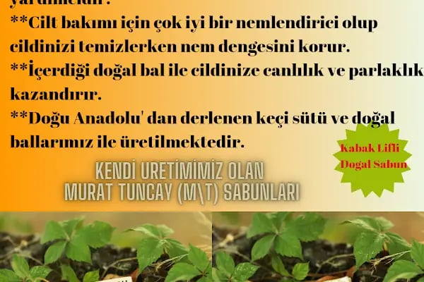 Murat Tuncay Lazer Epilasyon ve Cilt Bakım Merkezi - Resim 17