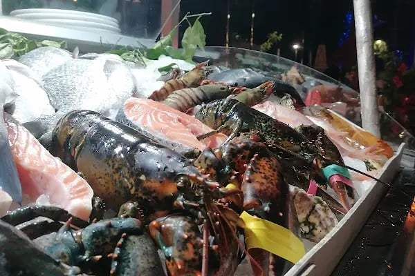 Palmiye Restaurant - Resim 15