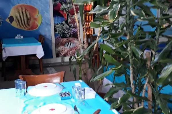 Zara Zargana Balık - Resim 17