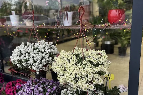 FlowerGarden - Resim 5