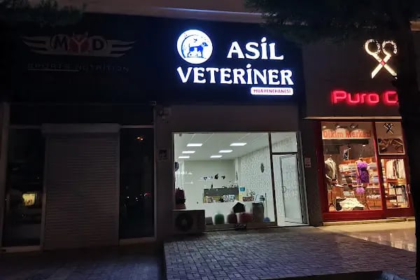 Asil Veteriner Kliniği Gaziantep - Resim 13