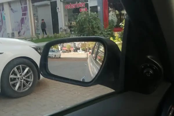 Asil Veteriner Kliniği Gaziantep - Resim 19