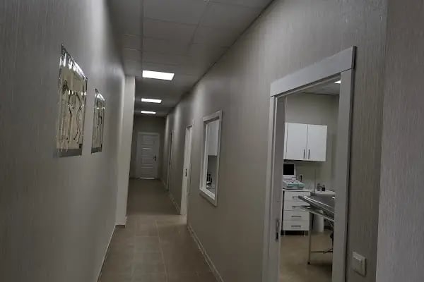 Asil Veteriner Kliniği Gaziantep - Resim 6