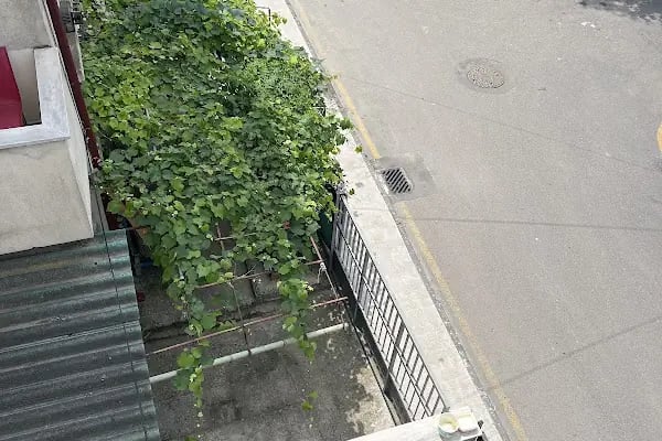İSTİLA Haşere ve Böcek İlaçlama Hizmetleri | Sakarya Haşere İlaçlama - Resim 6