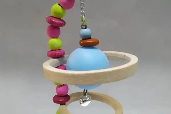 Düşler petshop - Resim 4