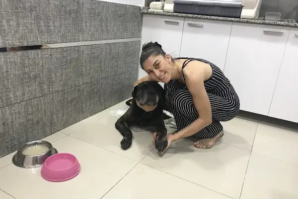 Truva Veteriner Kliniği - Resim 12