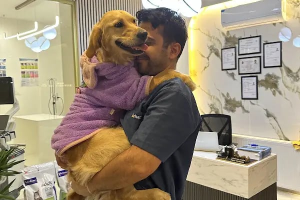 Vethospital Veteriner kliniği 7/24 ACİL VETERİNER BAHÇELİEVLER - Resim 4